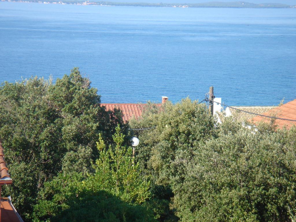 Villa Laurus Kožino Eksteriør billede