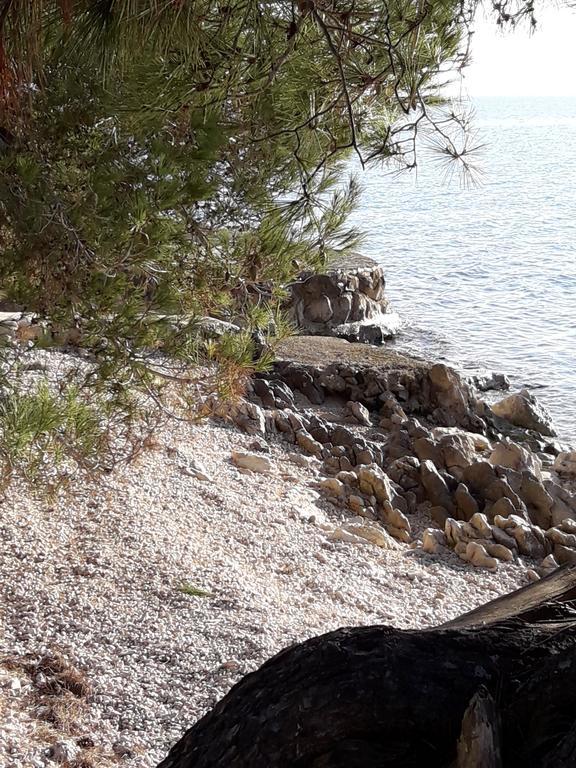 Villa Laurus Kožino Eksteriør billede