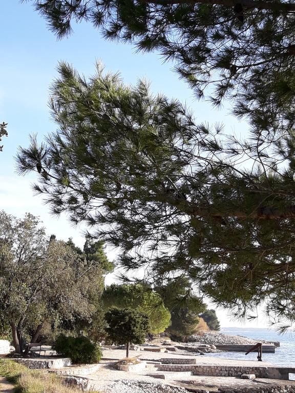 Villa Laurus Kožino Eksteriør billede