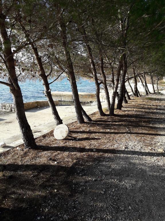 Villa Laurus Kožino Eksteriør billede